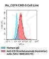 fc-cel100052 hu cd74 cho s cell line flow