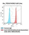 fc-cel100053 hu fzd10 k562 cell line flow