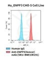 fc-cel100056 hu enpp3 cho s cell line flow