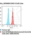 fc-cel100061 hu gpnmb cho s cell line flow