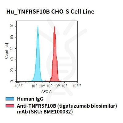 fc-cel100064 hu tnfrsf10b cho s cell line flow