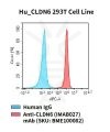 fc-cel100067 hu cldn6 293t cell line flow