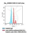 fc-cel100071 hu hvem cho s cell line flow