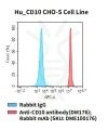 fc-cel100072 hu cd10 cho s cell line flow