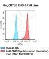 fc-cel100079 hu cd79b cho s cell line flow