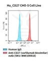 fc-cel100081 hu cd27 cho s cell line flow