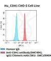 fc-cel100089 hu cdh1 cho s cell line flow
