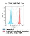 fc-cel100091 hu btla k562 cell line flow