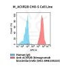 fc-cel100095 m acvr2b cho s cell line flow