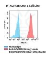 fc-cel100095 m acvr2b cho s cell line flow