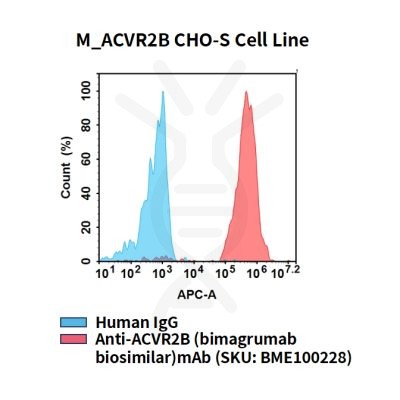 fc-cel100095 m acvr2b cho s cell line flow