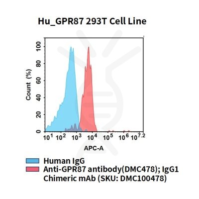 fc-cel100096 hu gpr87 293t cell line flow