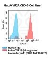 fc-cel100097 hu acvr2a cho s cell line flow