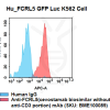fc-cel100099 hu k562 fcrl5 cell line flow