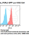 fc-cel100099 hu k562 fcrl5 cell line flow