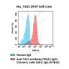 fc-cel100113 hu taci 293t cell line flow