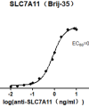 elisa-cfp100004 slc7a11 elisa1