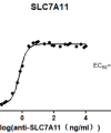 elisa-cfp200004 slc7a11 elisa1