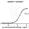 elisa-cfp200014 cldn9 elisa1