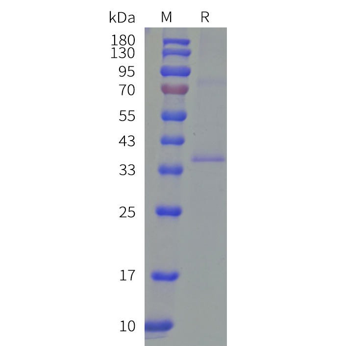 cfp100018-c5ar1-sp1.png