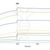 SPR-FLP100014 CLDN18.2 Fig.3 SPR 1