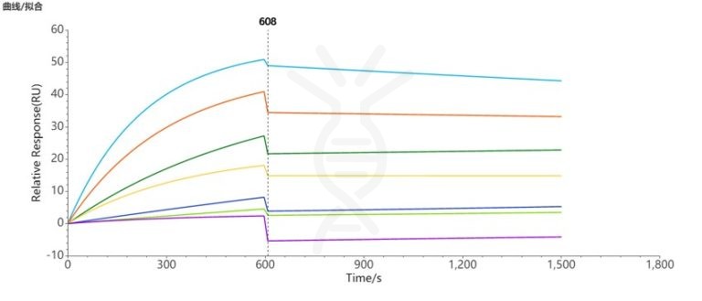 SPR-FLP100037 CCR8 Fig.3 SPR 1