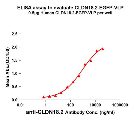 elisa-FLP100017 CLDN18.2 Fig.1 Elisa 1