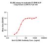elisa-FLP100038 CLDN6 Fig.1 Elisa 1