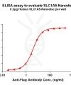 elisa-FLP100057 SLC1A5 Fig.1 Elisa 1