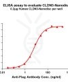 elisa-FLP100078 CLDN3 Fig.1 Elisa 1