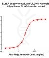 elisa-FLP100079 CLDN5 Fig.1 Elisa 1
