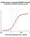 elisa-FLP100102 PROKR1 Fig.1 Elisa 1