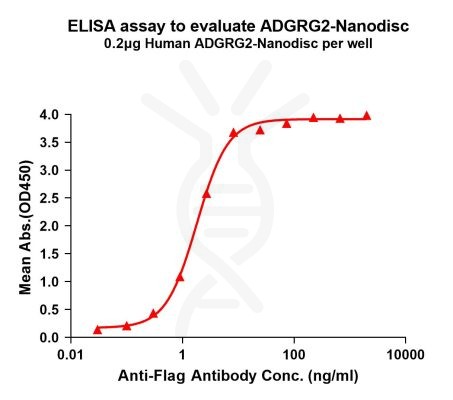 elisa-FLP100107 ADGRG2 Fig.1 Elisa 1