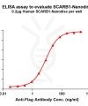 elisa-FLP100112 SCARB1 Fig.1 Elisa 1