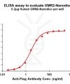 elisa-FLP100135 GRM2 Fig.1 Elisa 1