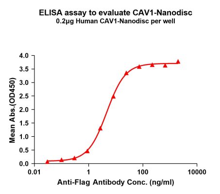 elisa-FLP100142 CAV1 Fig.1 Elisa 1