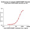 elisa-FLP100145 CGRPR RAMP1 Fig.1 Elisa 1