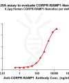 elisa-FLP100145 CGRPR RAMP1 Fig.1 Elisa 1