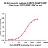 elisa-FLP200145 CGRPR RAMP1 Fig.1 Elisa 1