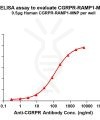 elisa-FLP200145 CGRPR RAMP1 Fig.1 Elisa 1