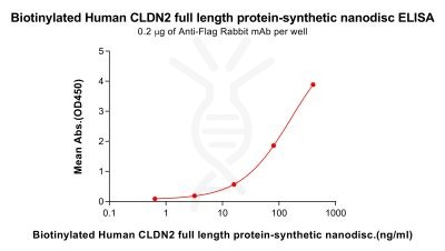 elisa-flp100082b cldn2 elisa3
