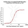 elisa-flp100498 scap elisa1