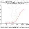 elisa-flp100499b cd19 elisa3