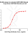 elisa-flp100509 aqp4 m23 elisa1