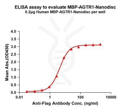 elisa-flp110098 mbp agtr1 elisa1