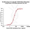 elisa-flp120028 ccr2 strep elisa1