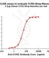 elisa-flp120028 ccr2 strep elisa1
