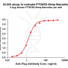 elisa-flp120096 ptger2 strep elisa1