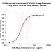 elisa-flp120097 ptger4 strep elisa1