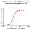 elisa-flp120233 drd5 strep elisa1